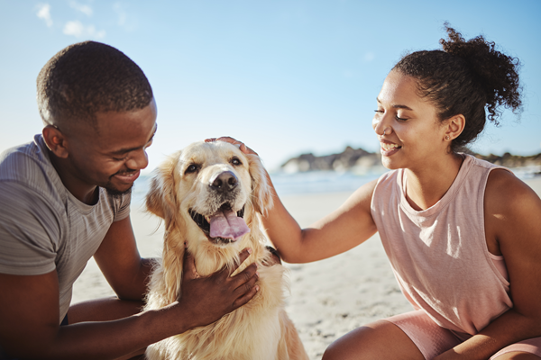 image for Summer Hazards for Pets: How to Spot Them and Keep Your Furry Friends Safe